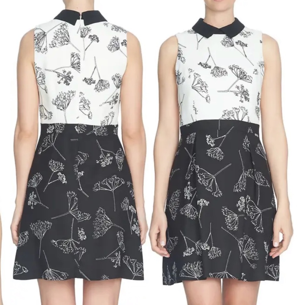 Nwot. Cece Dandelion Print Colorblock A-Line Dress - image 1